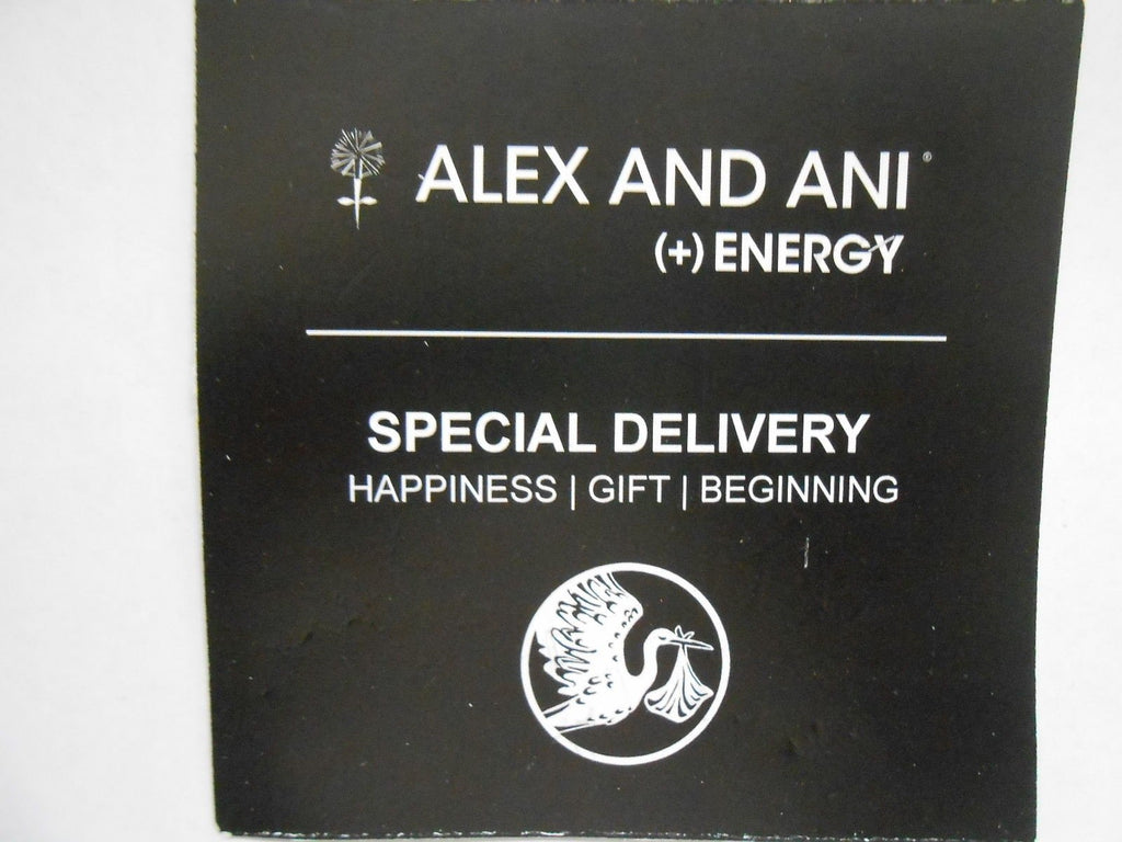 Alex and Ani Charity by Design Special Delivery Bangle Bracelet