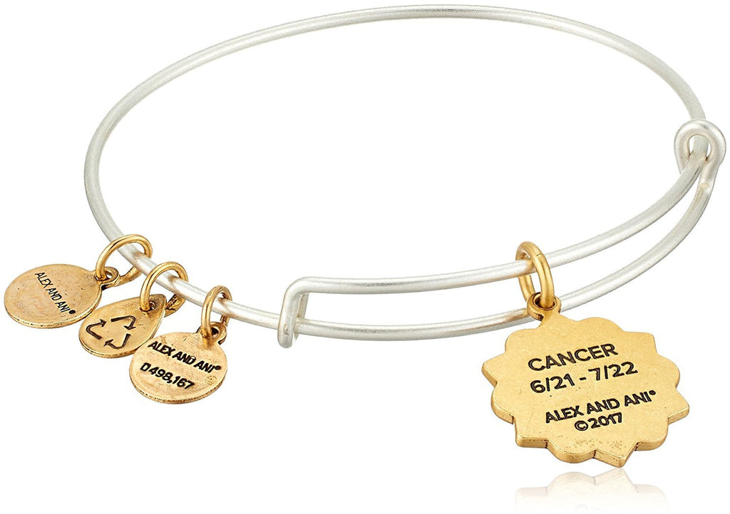 Alex and Ani Cancer Two Tone Bangle Bracelet NWTBC