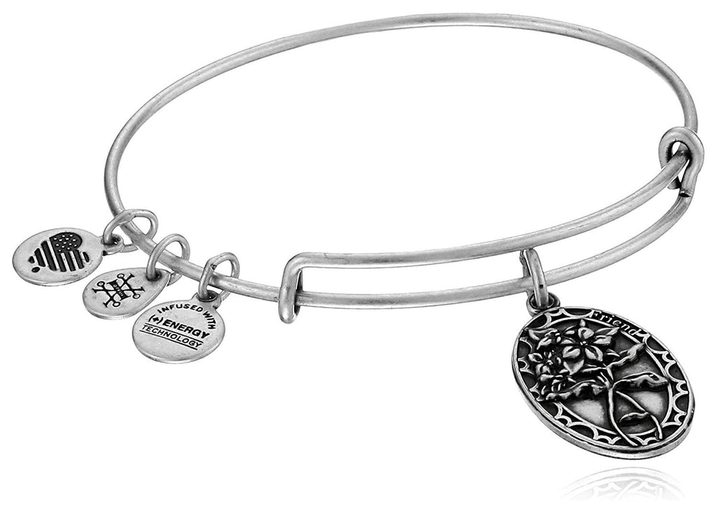 Alex and Ani Because I Love You, Friend II Expandable Bracelet