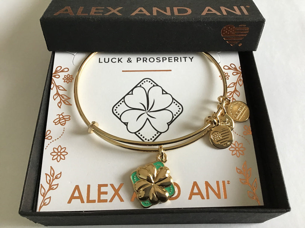 Alex and Ani Color Infusion Bangle Bracelet