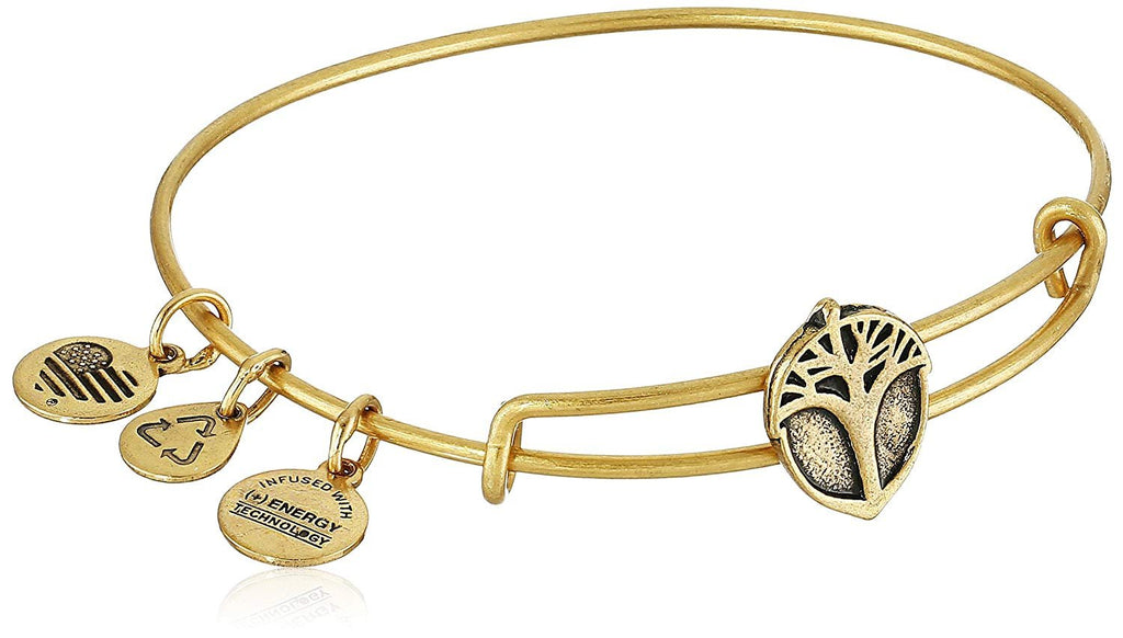 Alex and Ani Unexpected Miracles Slider Bangle Bracelet