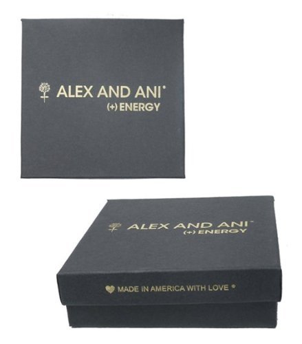 Alex and Ani Set Of 3 Bangle Set