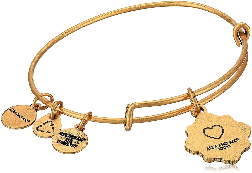 Alex and Ani Womens Because I Love You Daughter III Bangle