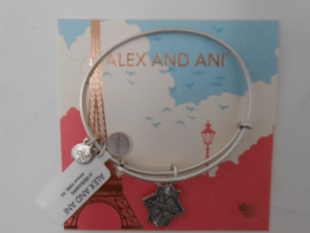 Alex and Ani Womens Amour Bangle