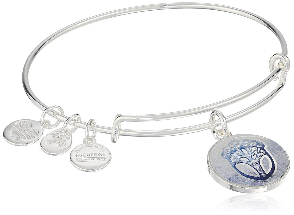 Alex and Ani Art Infusion Unexpected Miracles Expandable Rafaelian Shiny Silver Bangle Bracelet