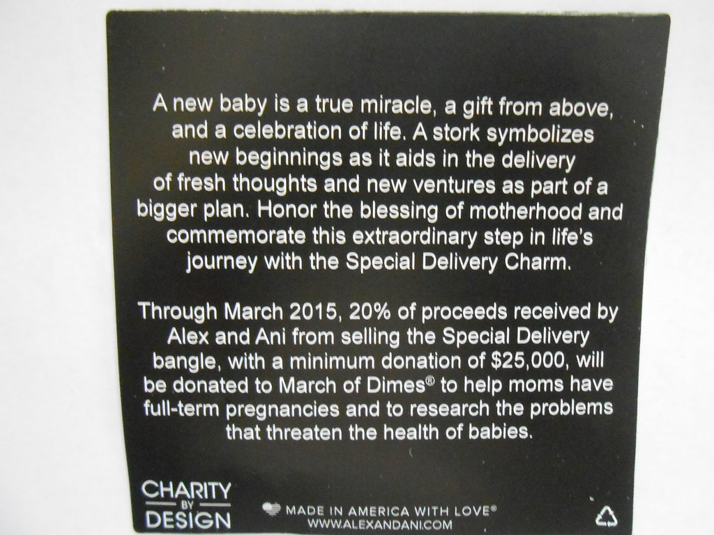 Alex and Ani Charity by Design Special Delivery Bangle Bracelet