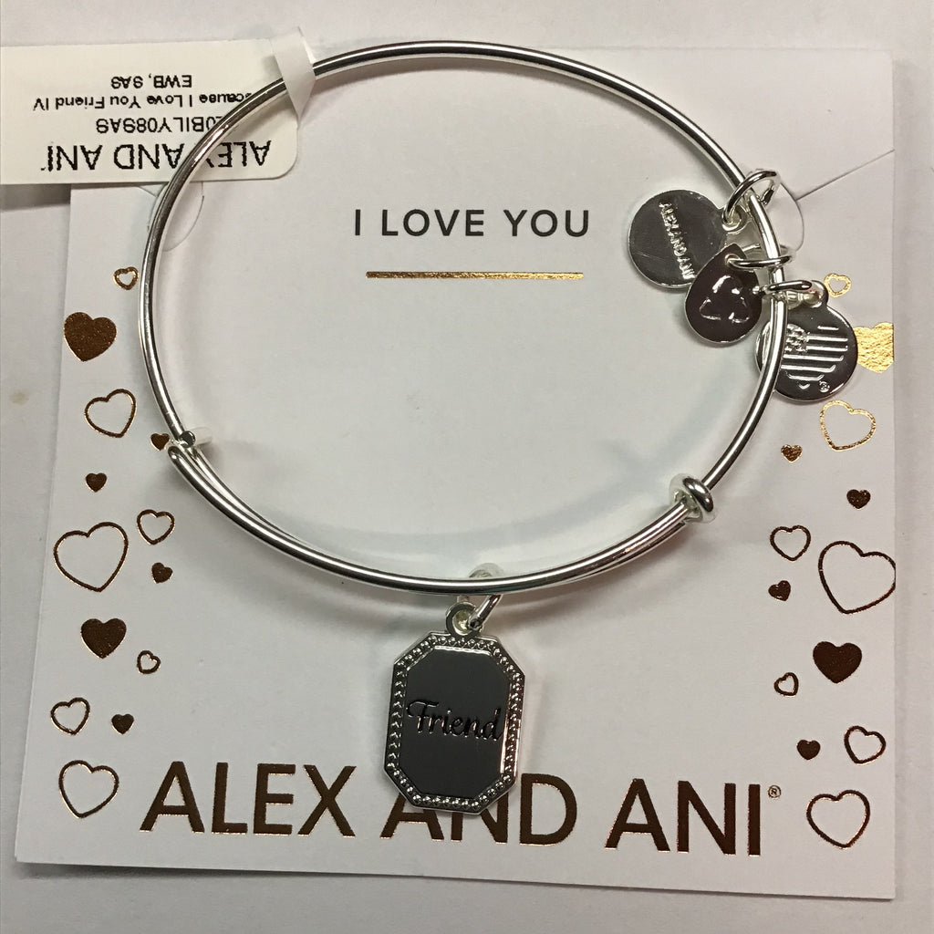 Alex and Ani Because I Love You Friend IV EWB, SAS, Shiny Antique Silver, Expandable (A20BILY08SAS)