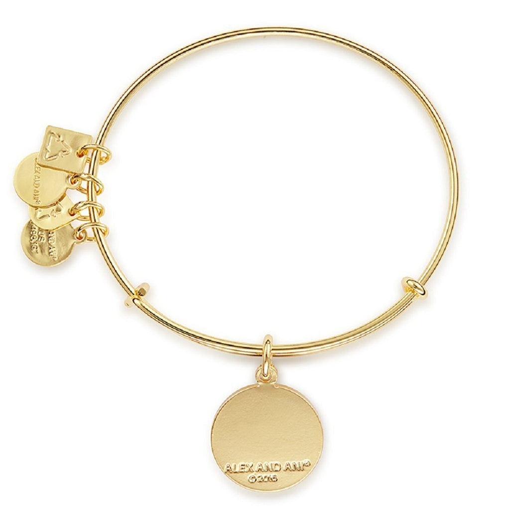 Alex and Ani Soul Sister Bangle in Shiny Gold Finish CBD16SSYG