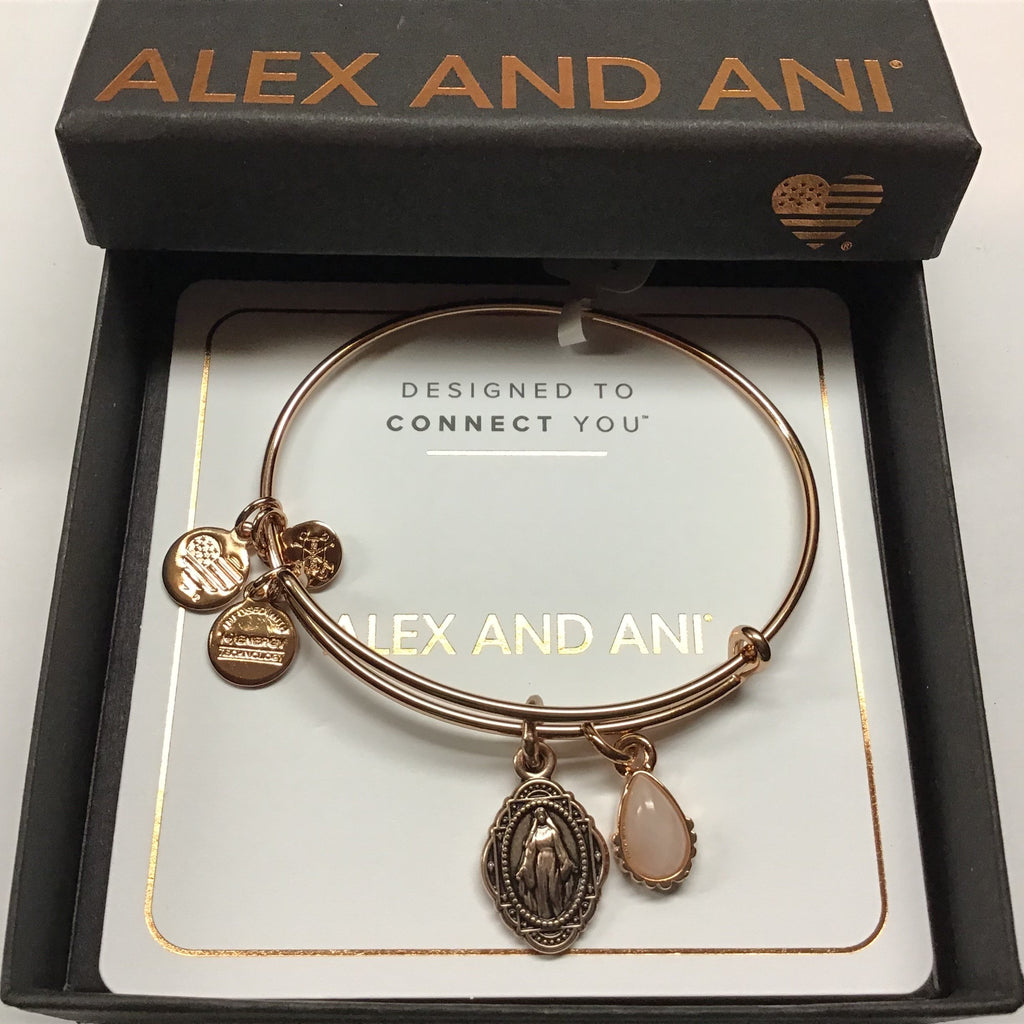 Alex and Ani Duo Charm Bangle Bracelet