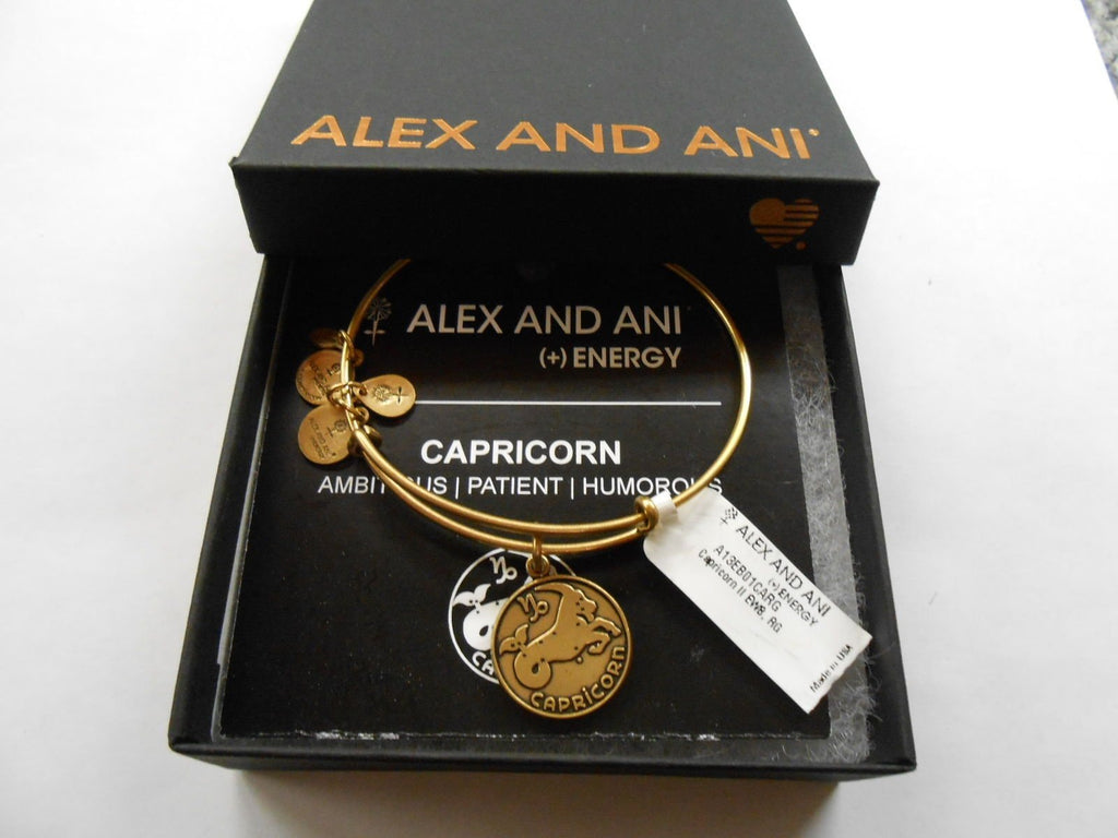 Alex and sale ani capricorn