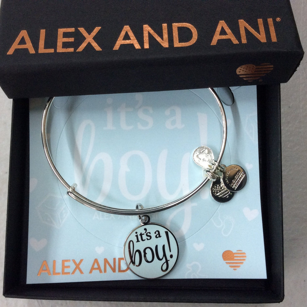 Alex and Ani Women's Color Infusion It's A Boy Bangle Bracelet