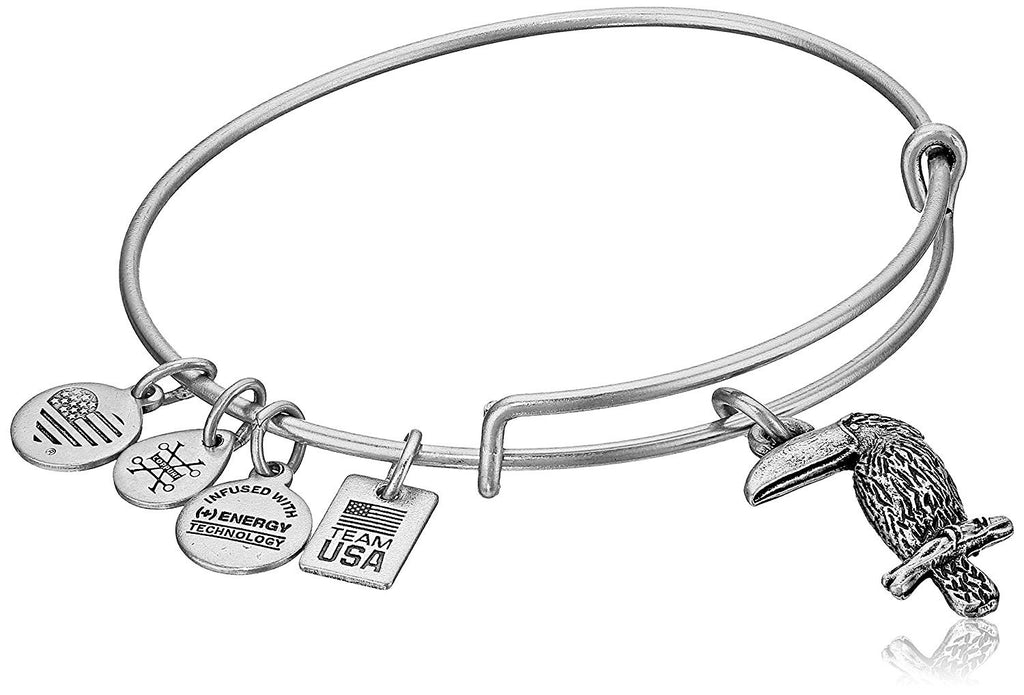 Alex and Ani Toucan Expandable Bangle Bracelet