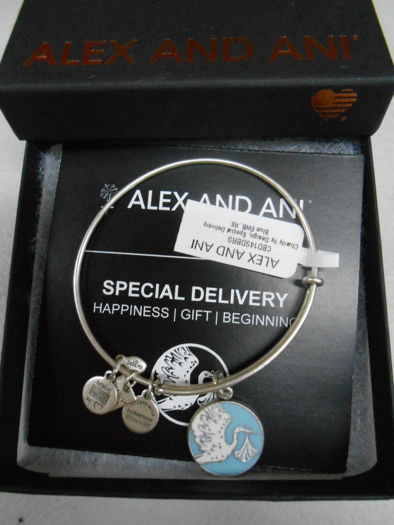 Alex and Ani Charity by Design Special Delivery Bangle Bracelet