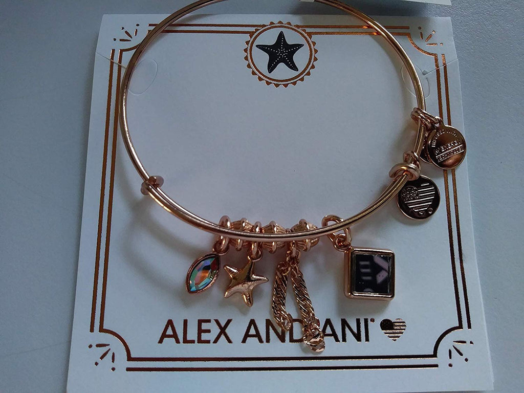 Alex and Ani Initial R Charm Bangle Bracelet in Shiny Silver