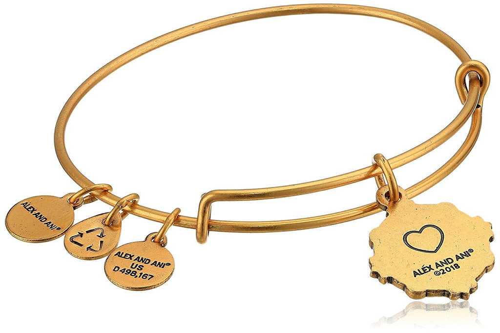 Alex and Ani Womens Because I Love You Granddaughter III Bangle