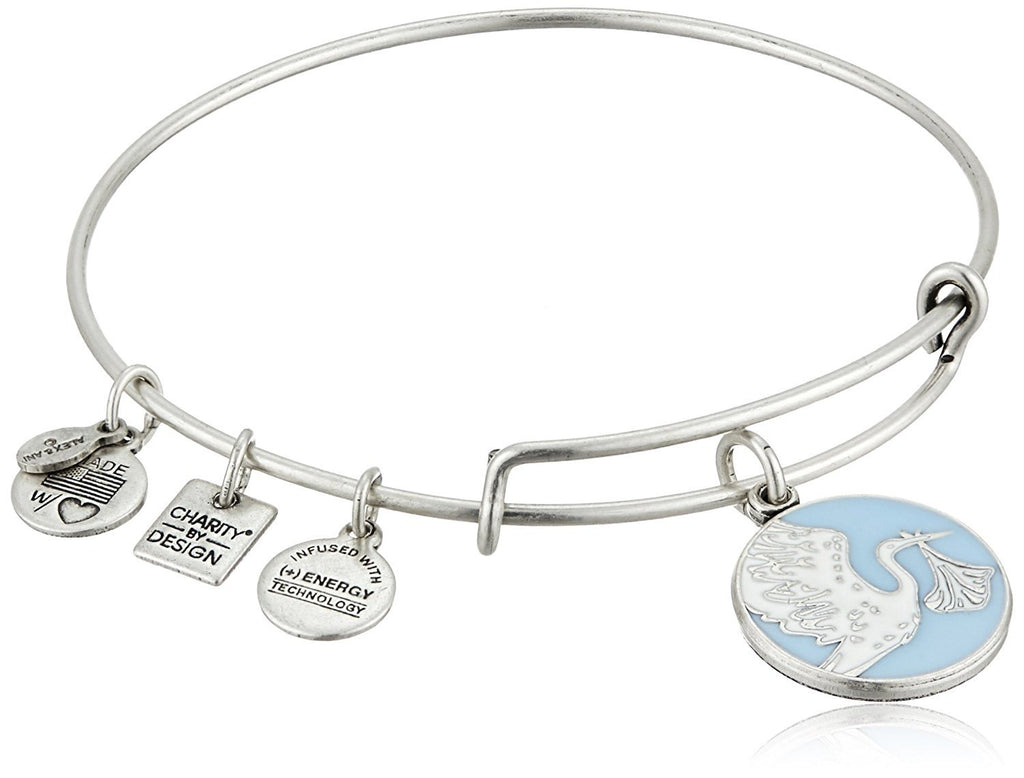 Alex and Ani Charity by Design Special Delivery Bangle Bracelet