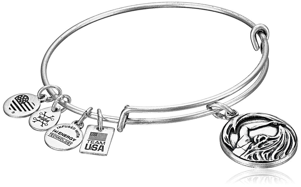 Alex and Ani Team USA Swimming Expandable Bangle Bracelet