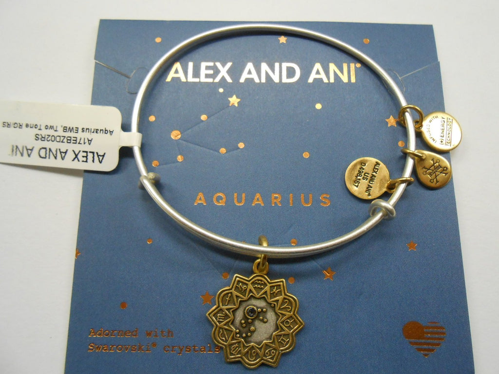 Alex and Ani Aquarius Two Tone Bangle Bracelet NWTBC