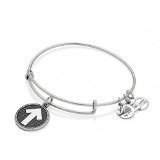 Alex and Ani Brass Stand Up Charm Bangle Bracelet in Rafaelian Silver Finish CBD14SUTCRS