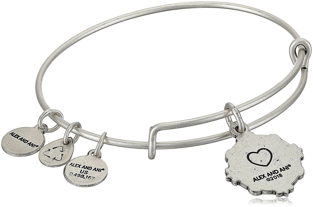 Alex and Ani Womens Because I Love You Granddaughter III Bangle