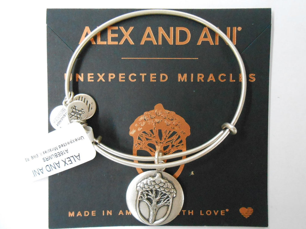 Alex and Ani Unexpected Miracles Rafaelian Silver Charm Bracelet