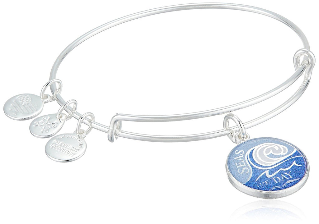 Alex and Ani Words are Powerful Bangle Bracelet