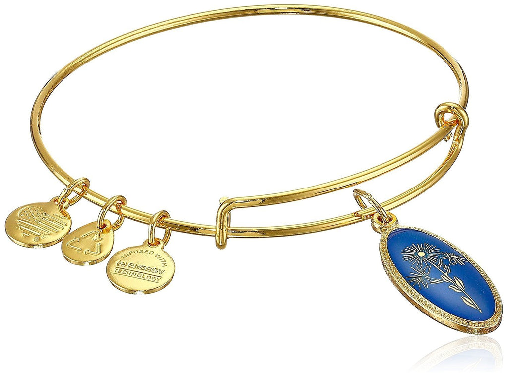 Alex and Ani Star of Mystery Aster Expandable Wire Bangle Bracelet