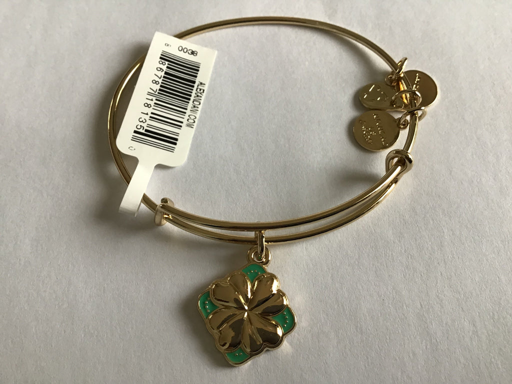 Alex and Ani Color Infusion Bangle Bracelet