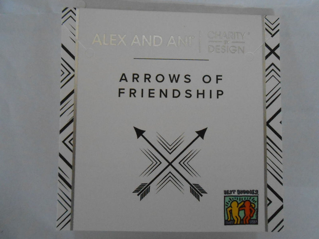 Alex and Ani Charity by Design Arrows of Friendship Expandable Bangle Bracelet