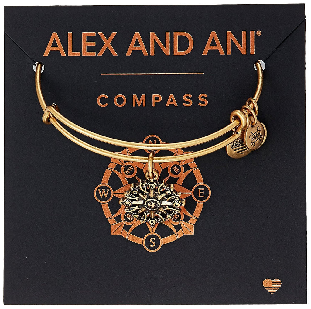 Alex and ANI Compass III Bangle Bracelet