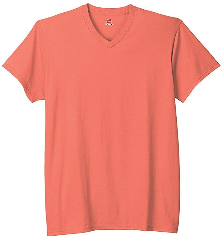 Hanes Mens Ringspun Cotton Nano-T V-Neck T-Shirt (498V)