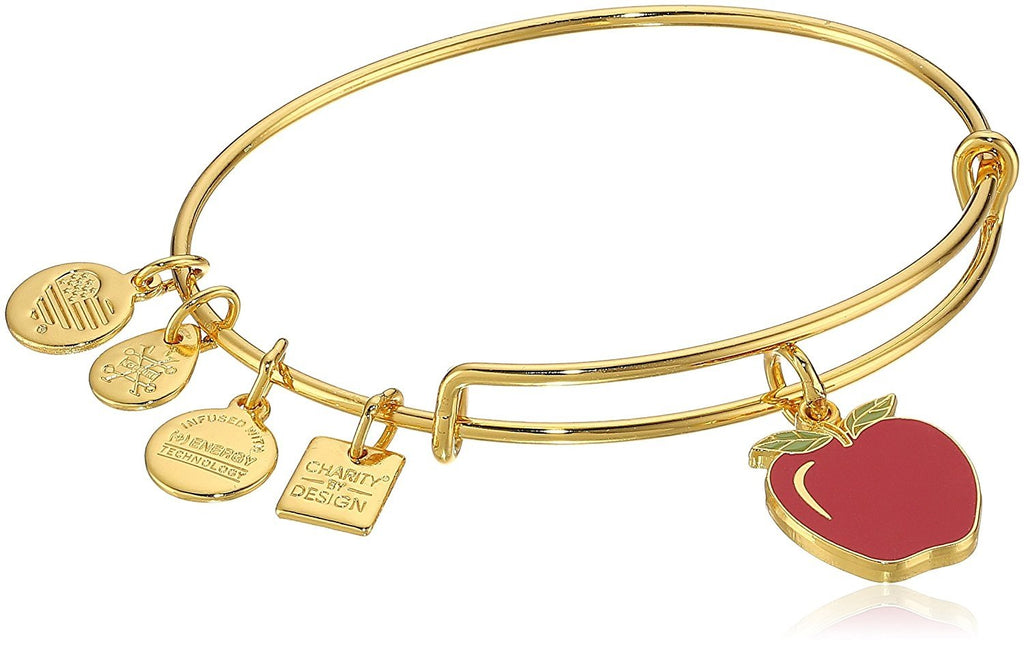 Alex and Ani Charity by Design, Apple EWB, Bangle Bracelet