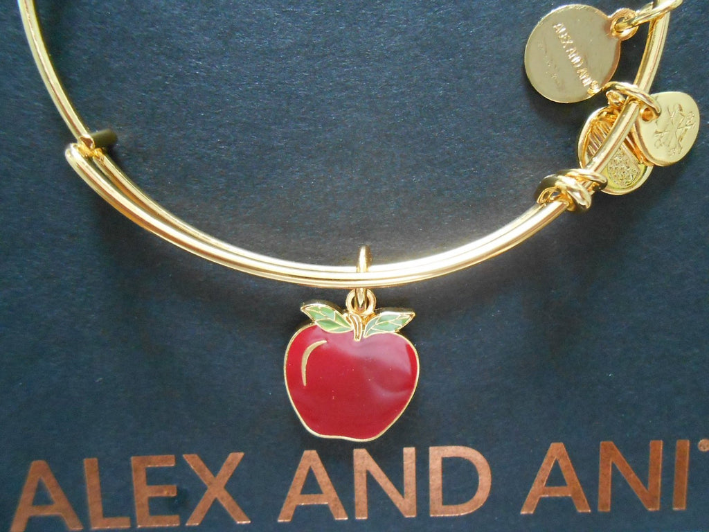 Alex and Ani Charity by Design, Apple EWB, Bangle Bracelet