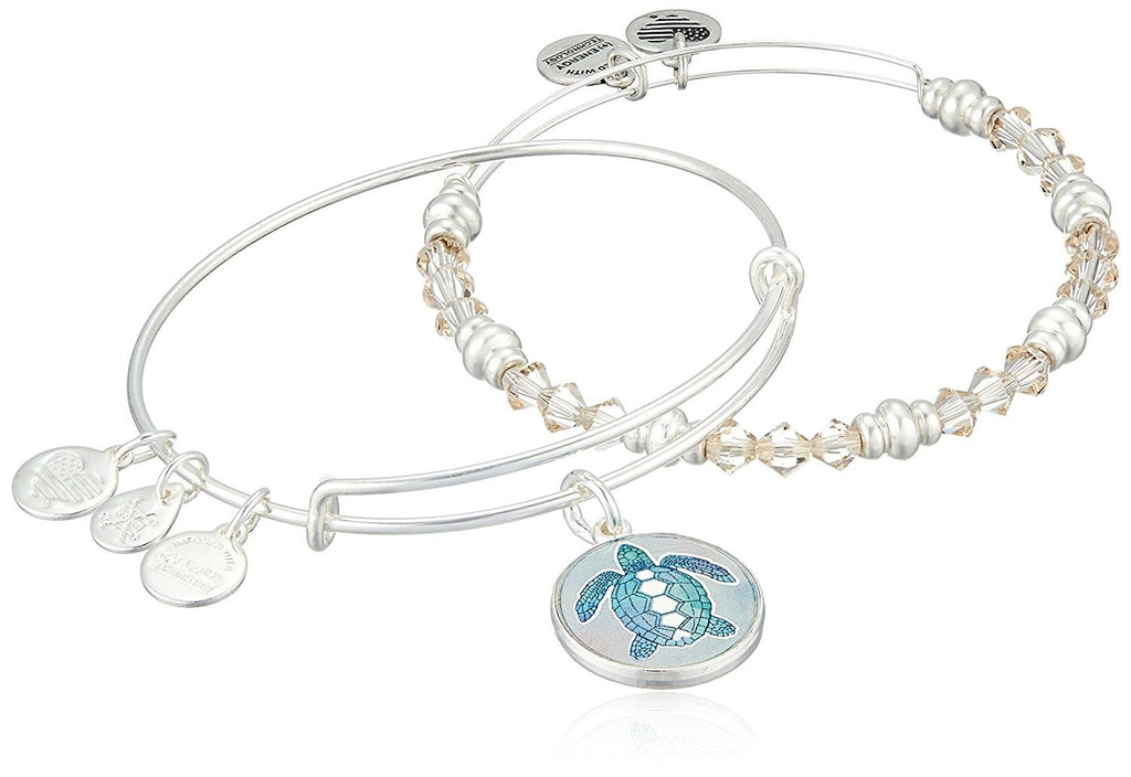 Alex and Ani Art Infusion Set, Turtle Bangle Bracelet