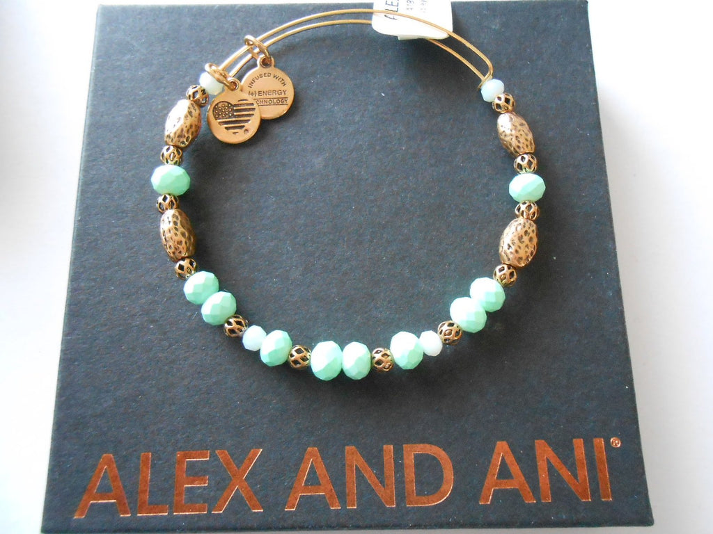 Alex and Ani Women's Valley Bangle