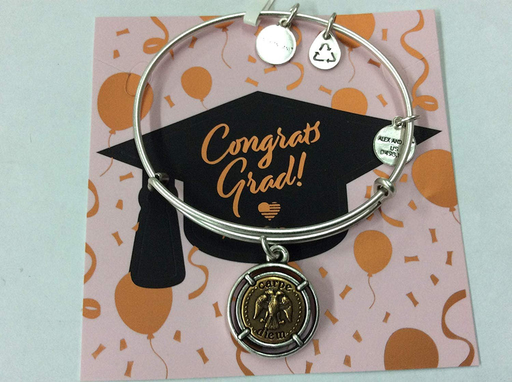 Alex and Ani Carpe Diem Bangle Bracelet Rafaelian Silver NWTBC