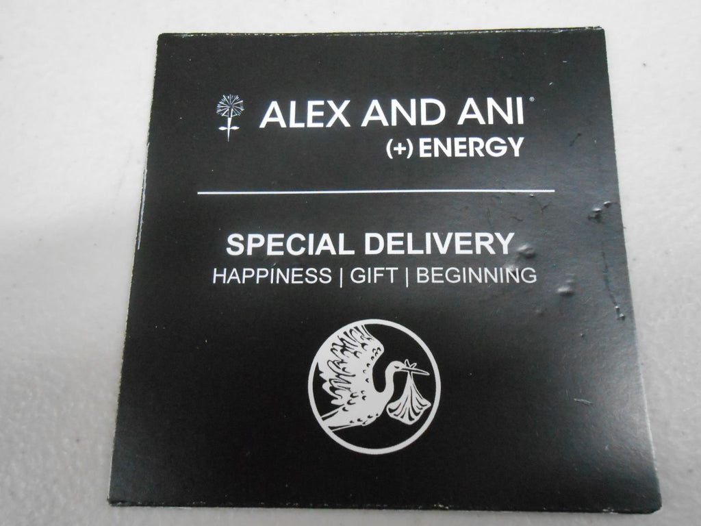 Alex and Ani Charity by Design Special Delivery Bangle Bracelet