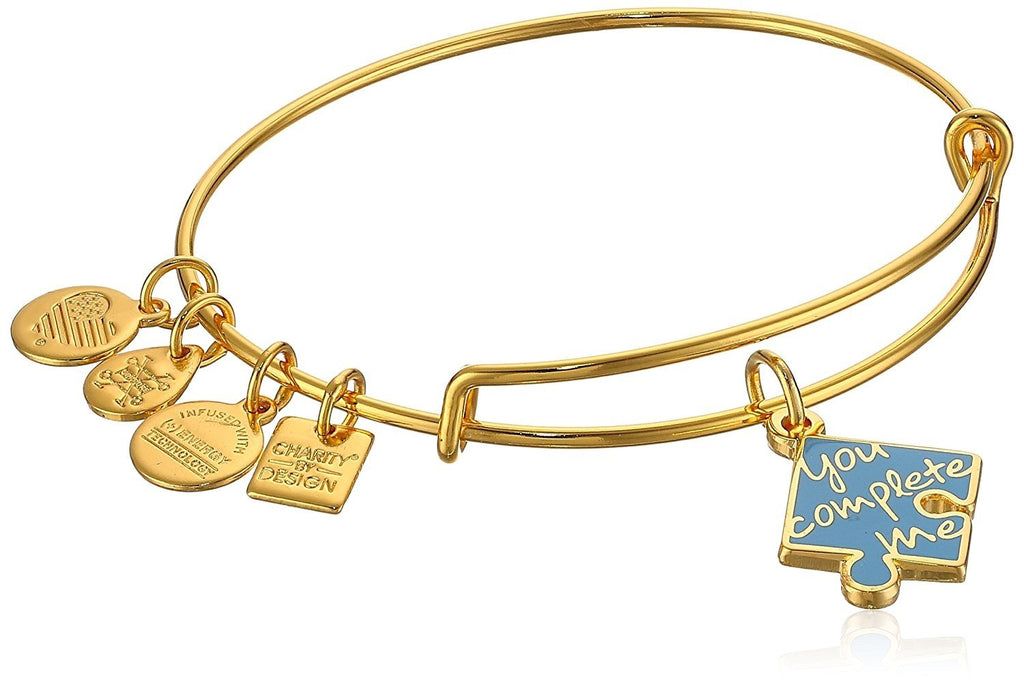 Alex and ANI Womens Charity by Design, You Complete Me, EWB Bracelet, Expandable
