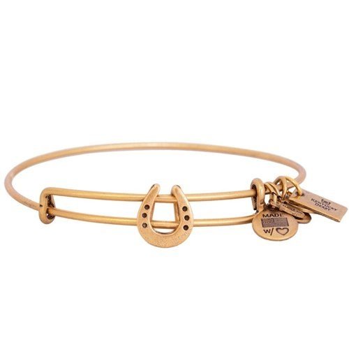 Alex and Ani Women's Horseshoe Charm Bangle Rafaelian Gold Finish