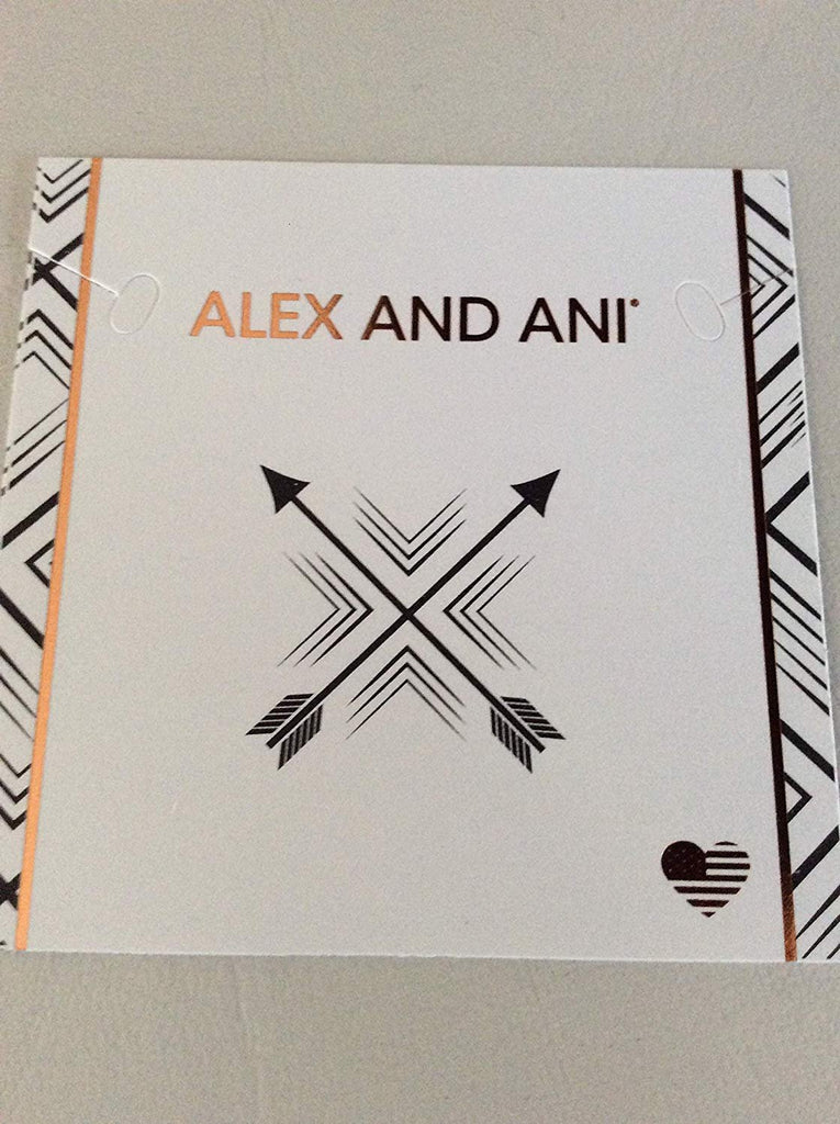 Alex and Ani Arrows of Friendship Bangle Bracelet Shiny Silver NWTBC
