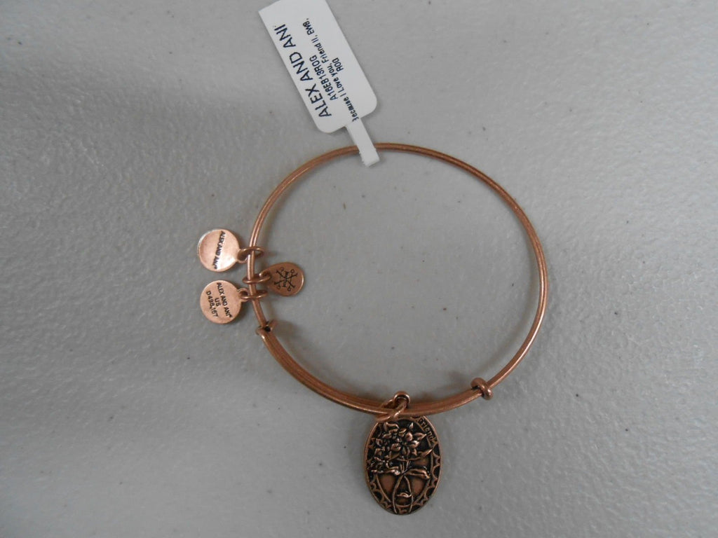 Alex and Ani Because I Love You, Friend II Expandable Bracelet