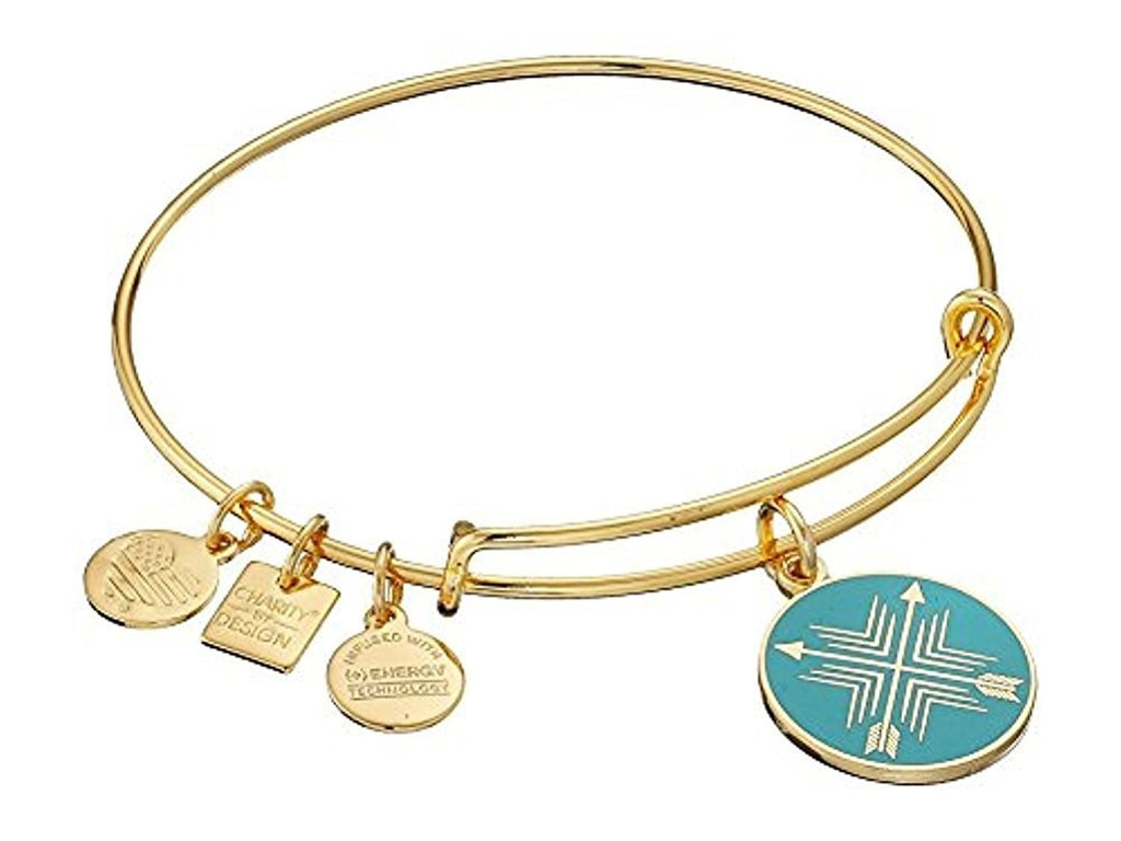 Alex and Ani Charity by Design Arrows of Friendship Expandable Bangle Bracelet