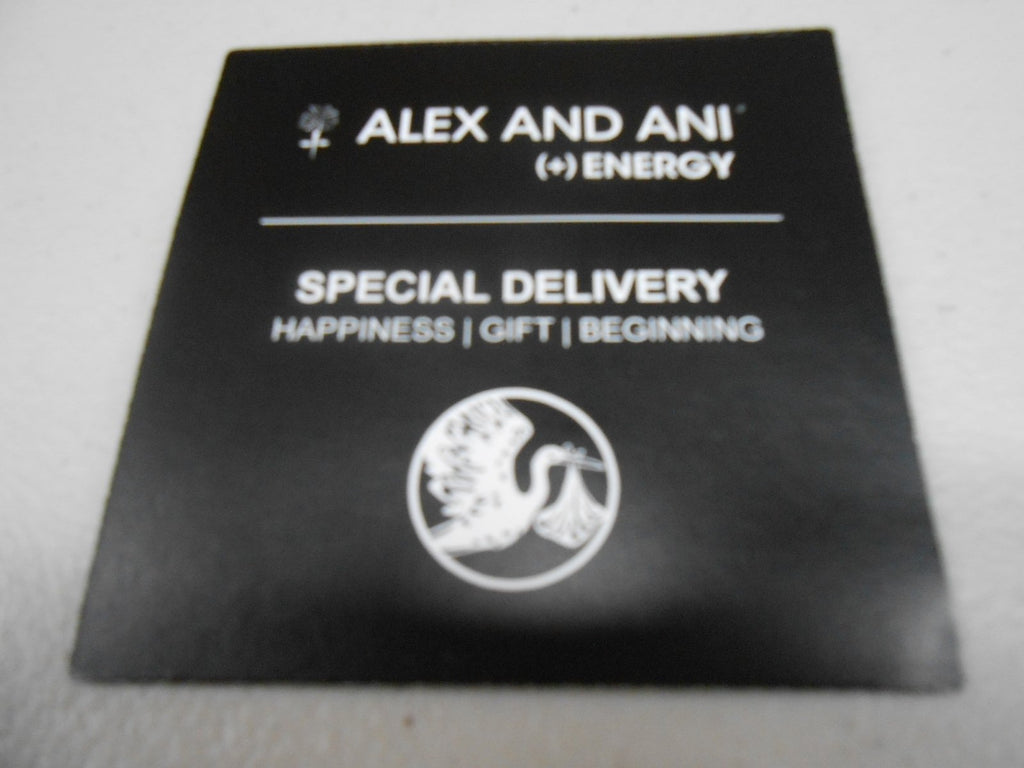 Alex and Ani Charity by Design Special Delivery Bangle Bracelet