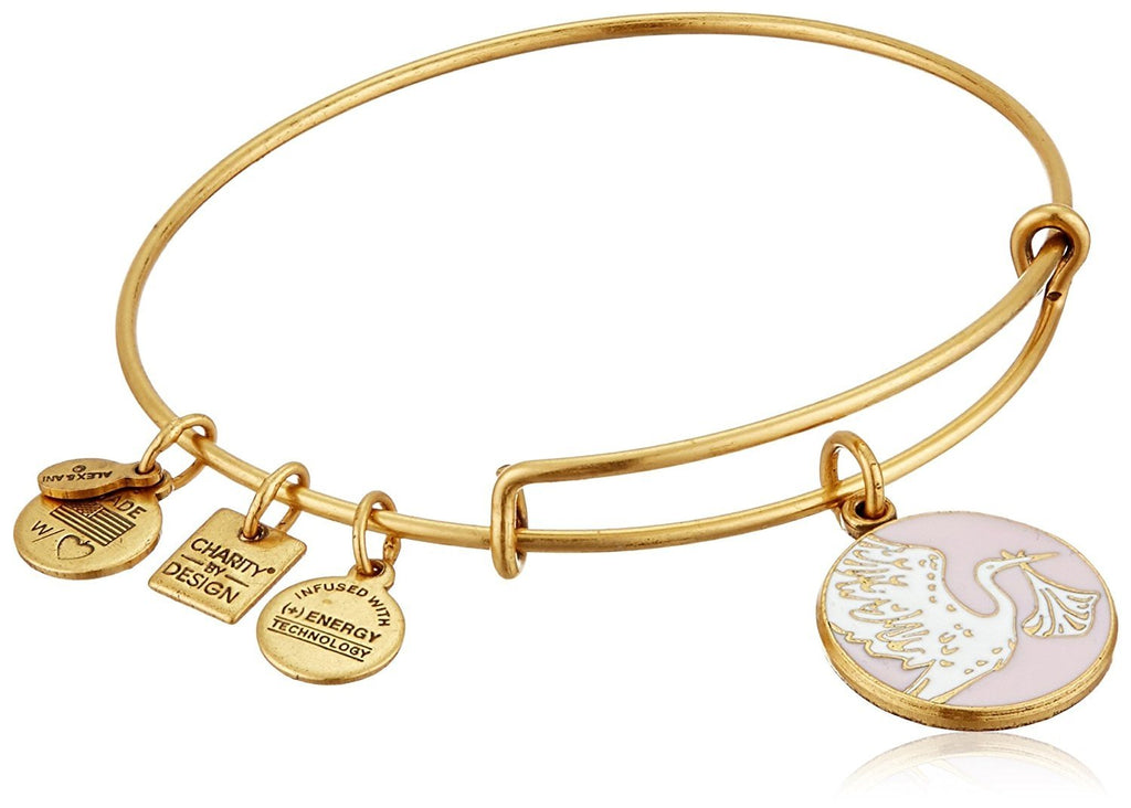 Alex and Ani Charity by Design Special Delivery Bangle Bracelet