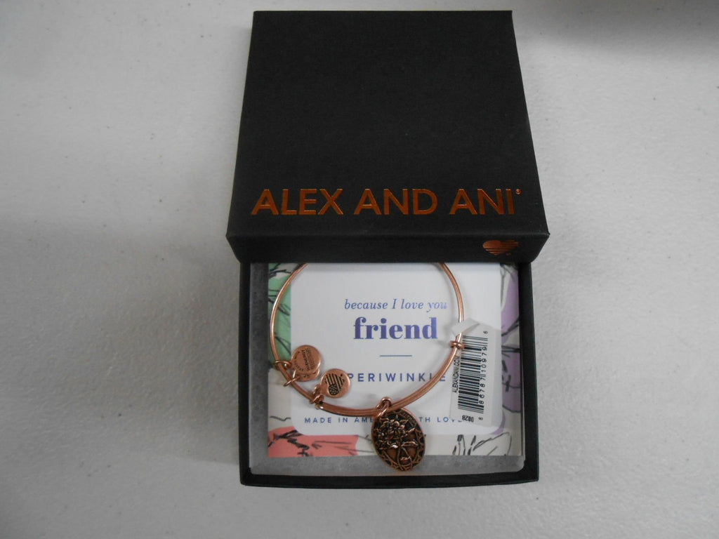 Alex and Ani Because I Love You, Friend II Expandable Bracelet