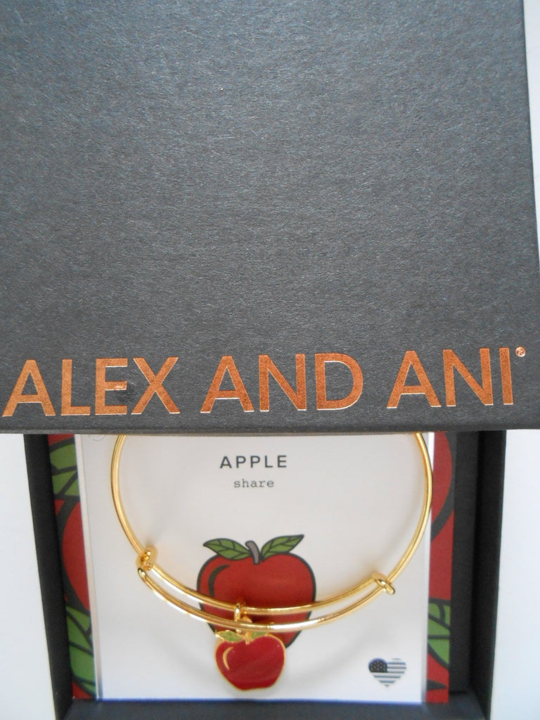 Alex and Ani Charity by Design, Apple EWB, Bangle Bracelet