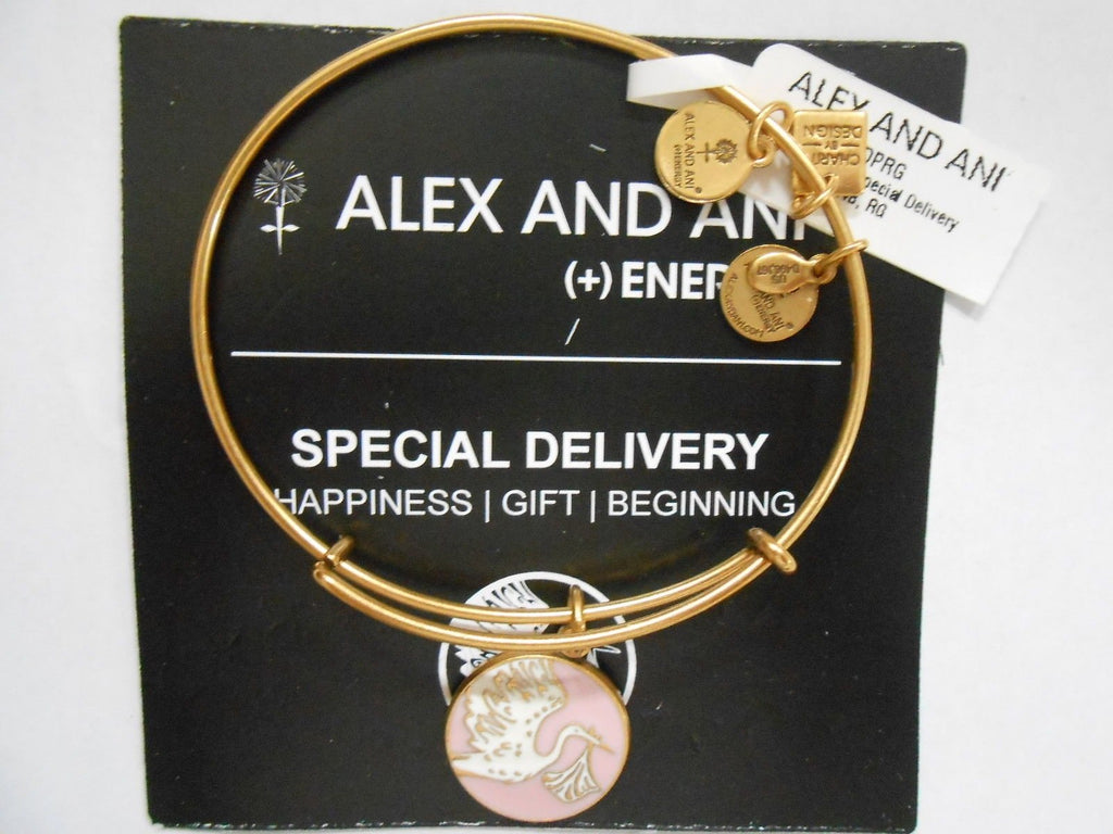 Alex and Ani Charity by Design Special Delivery Bangle Bracelet