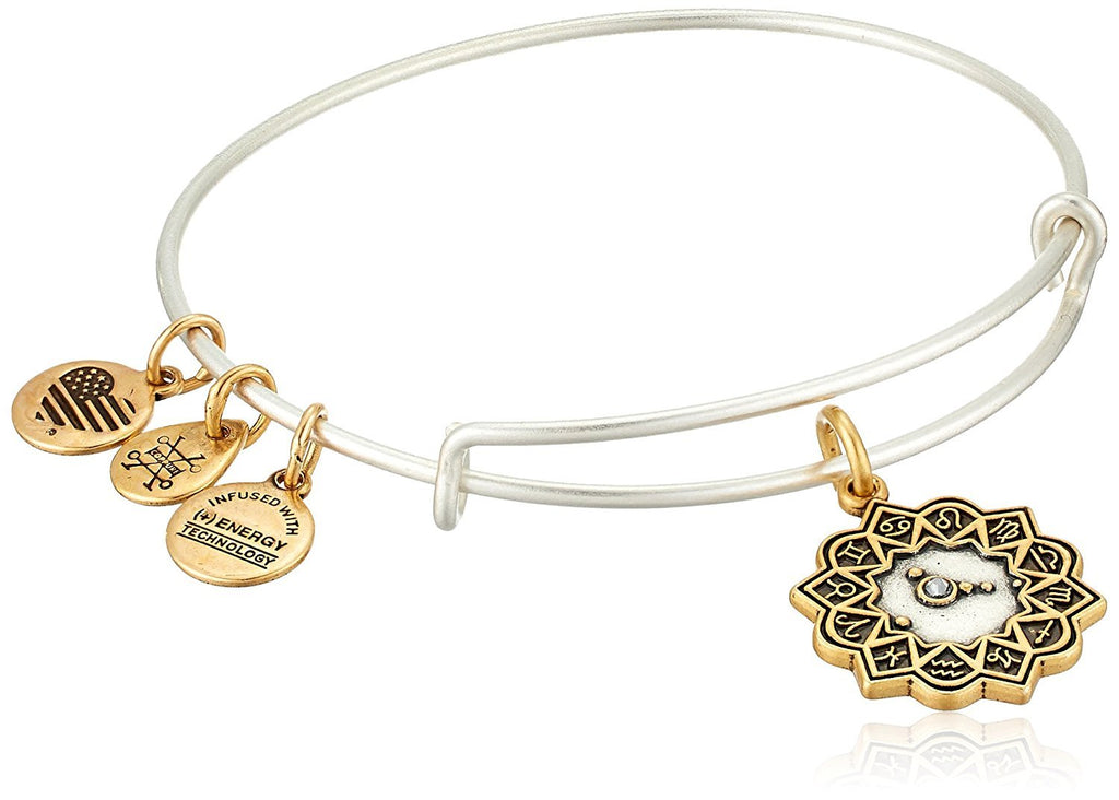 Alex and Ani Cancer Two Tone Bangle Bracelet NWTBC