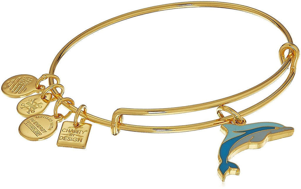 Alex and Ani Charity by Design, Dolphin EWB, Bangle Bracelet