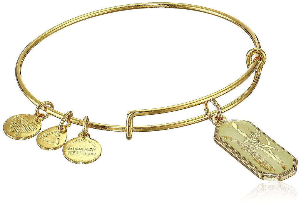 Alex and Ani Warrior's Will Gladiolus Expandable Wire Bangle Bracelet